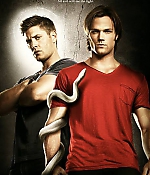 GO-TVShows-Supernatural-S6-Poster-001.jpg