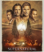 GO-TVShows-Supernatural-S15-Poster-001.jpg